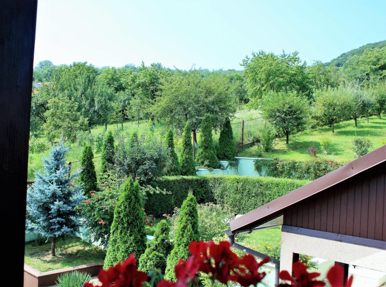 Hotel Silva House Deva Esterno foto