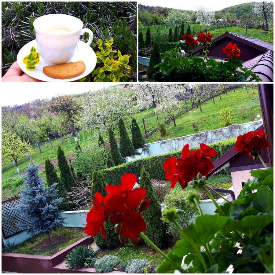 Hotel Silva House Deva Esterno foto